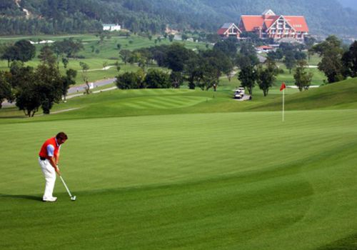 Lên Tam Đảo chơi golf, tốn bao tiền?